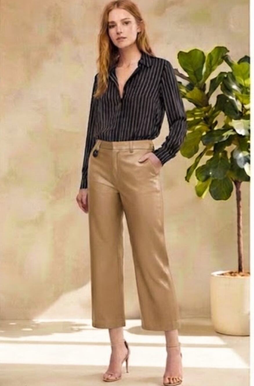 NWT Babaton ‘Command’ Vegan Leather Cropped Pants